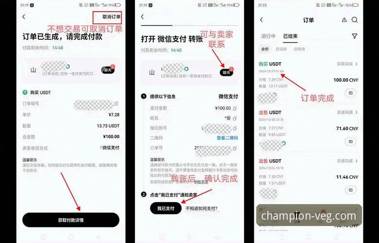 深度揭秘：冠军白菜网充值使用技巧，资深玩家不愿透露的五大细节